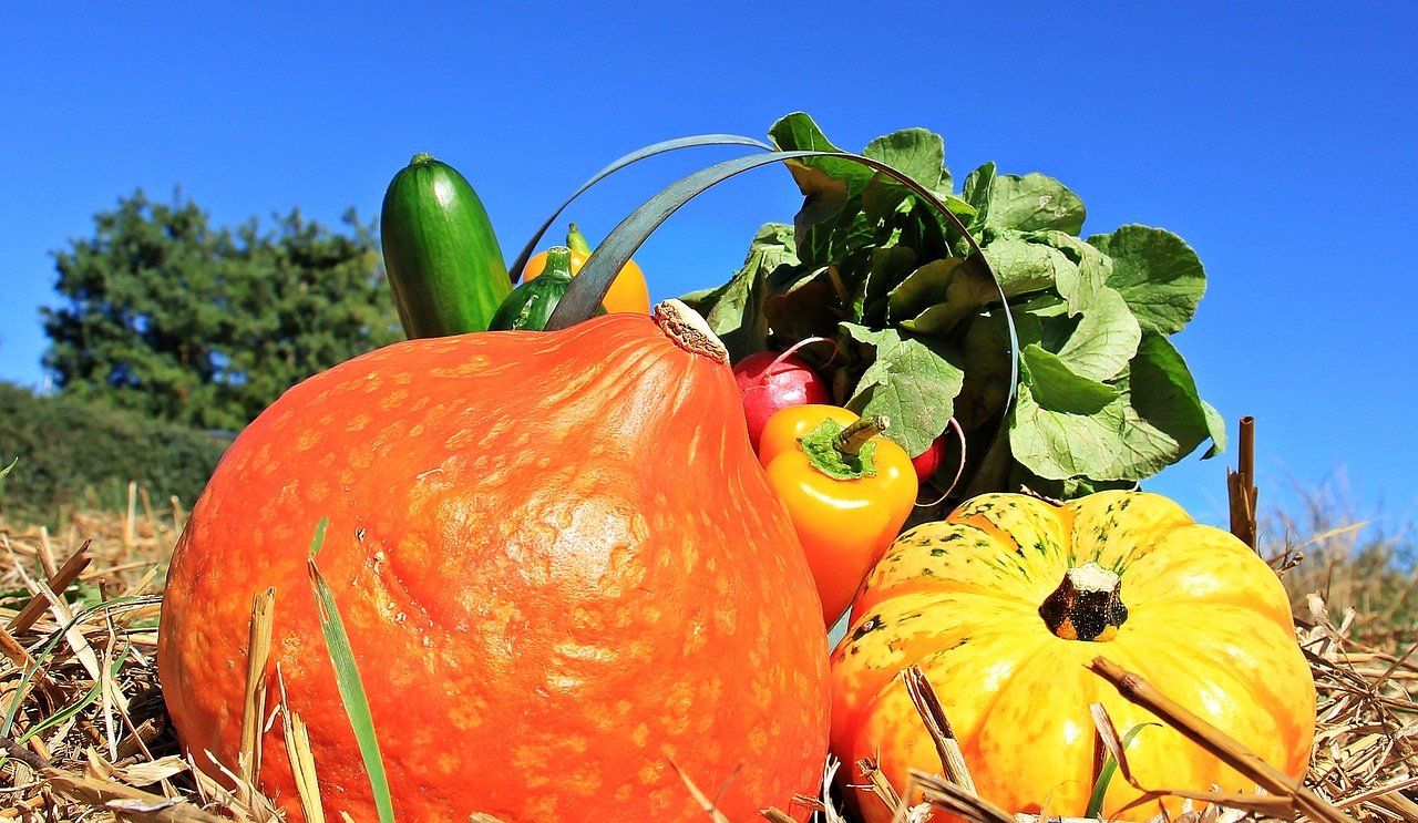 thanksgiving-1632760_1280 - Kopie (2) (c) Bild von NoName_13 auf Pixabay