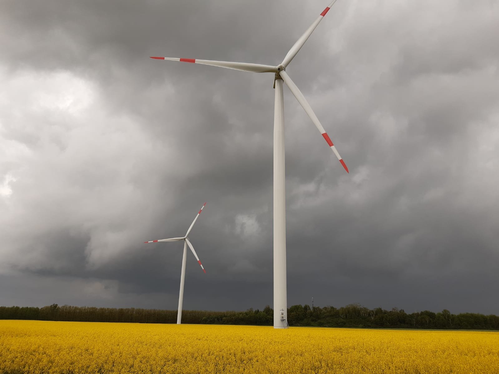 Windräder - Wilhelmshöhe (c) Bernd Gellert