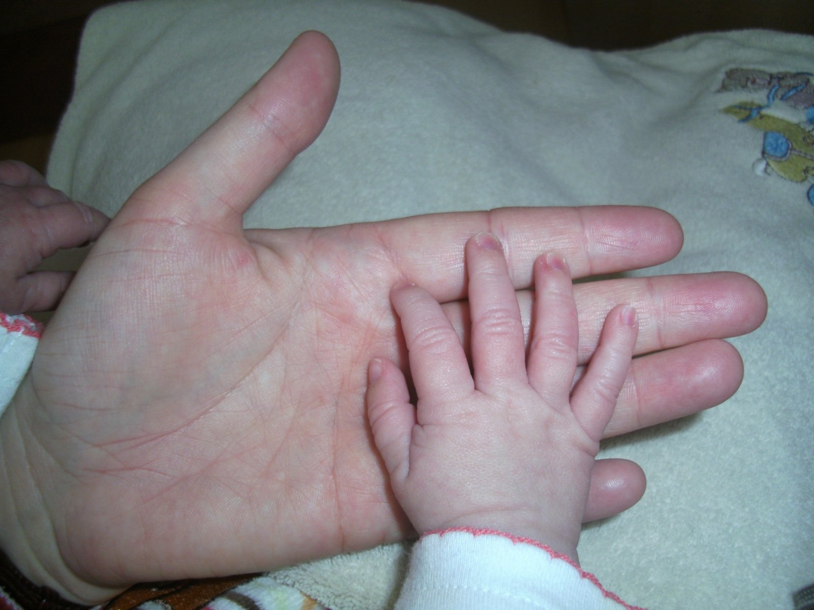 Kinderhand in großer Hand (c) Katja Richter