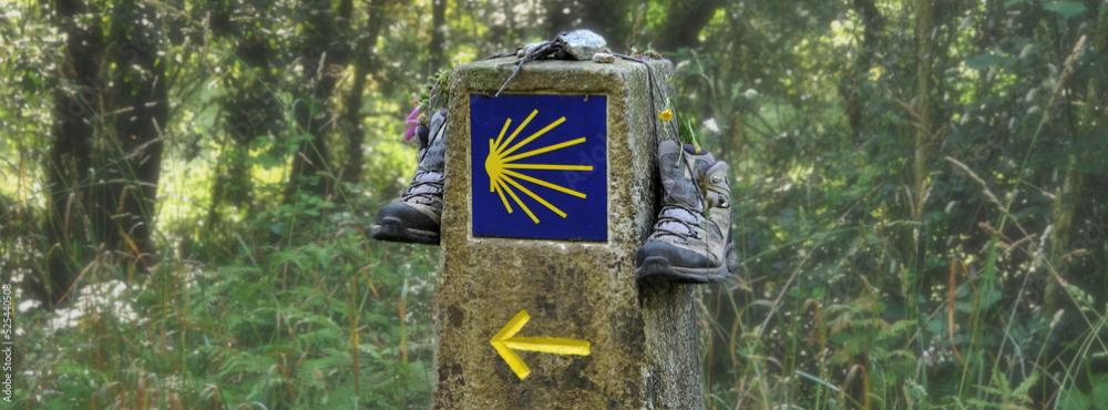 AdobeStock_525440508_Preview