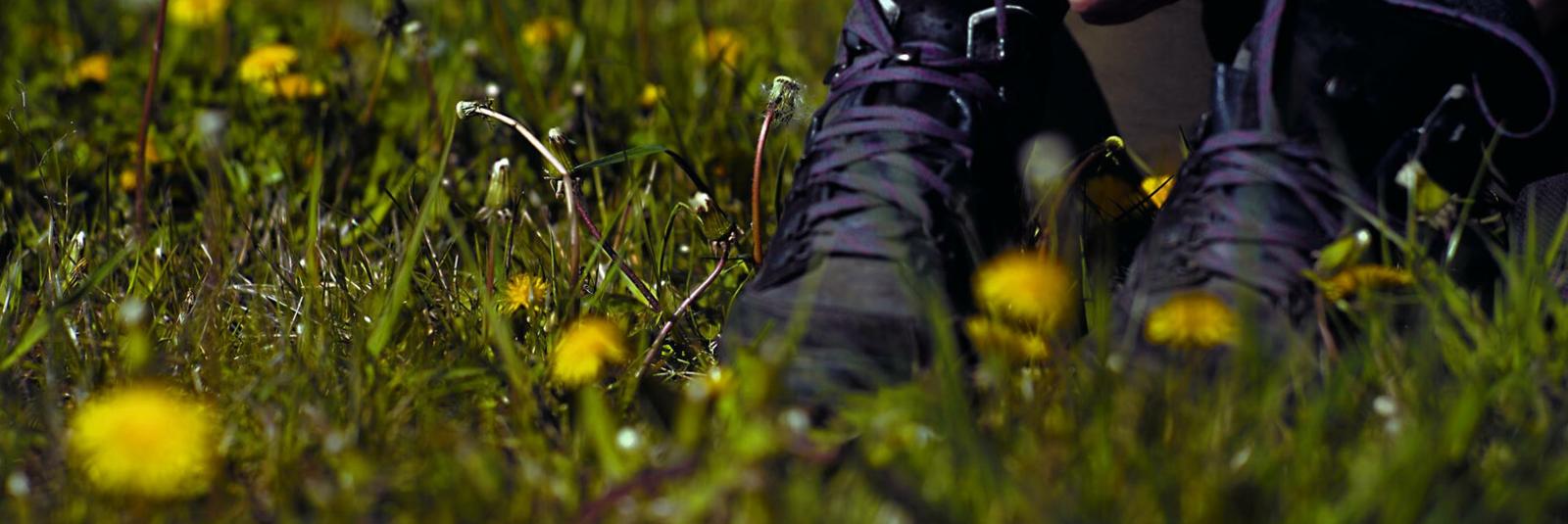 Pilgern_Erzbistum Köln (c)Robert Boecker_Frei mit Nennung Copyright-1600px