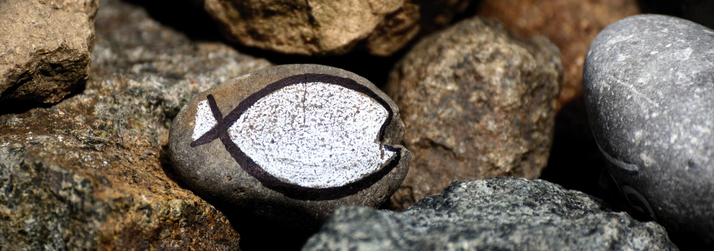 Bild von einem Stein der als Fisch angemalt ist