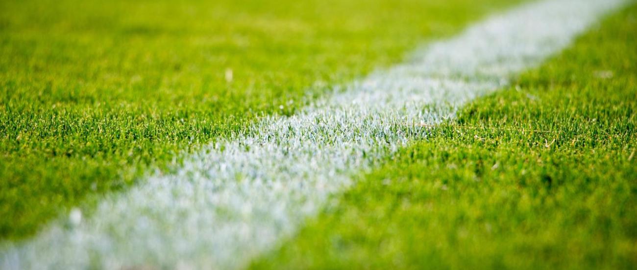 Fussballrasen