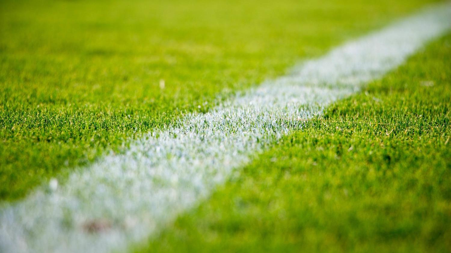 Fussballrasen