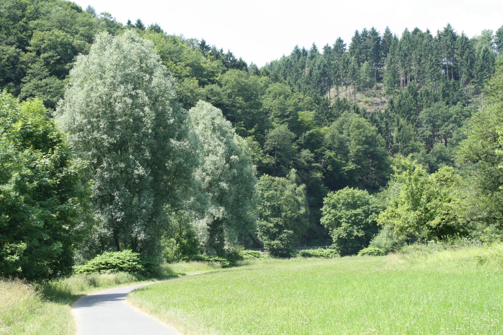 Fels, Felsen,  Gipfel, Berg und Tal, Naturerlebnis, Ex-Bild-DB-ID: 1097